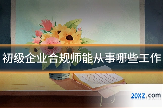 初级企业合规师能从事哪些工作