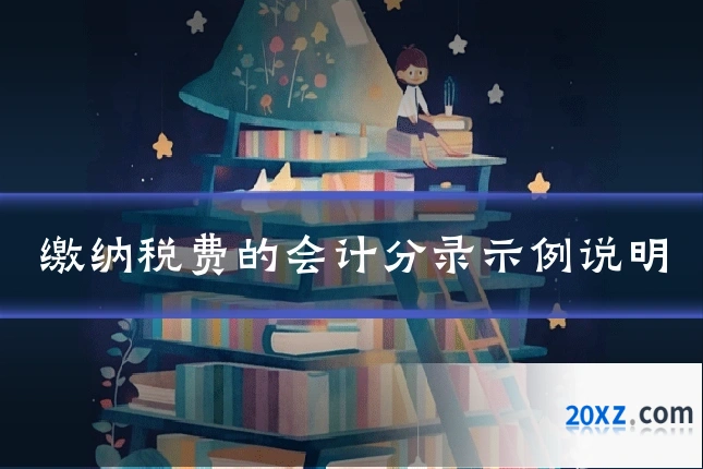 缴纳税费的会计分录示例说明