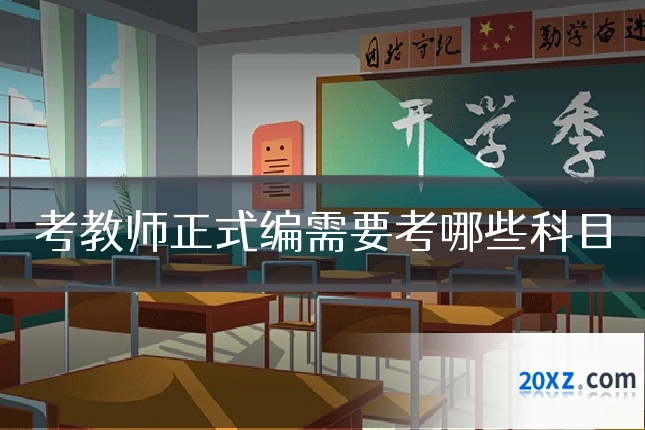 考教师正式编需要考哪些科目