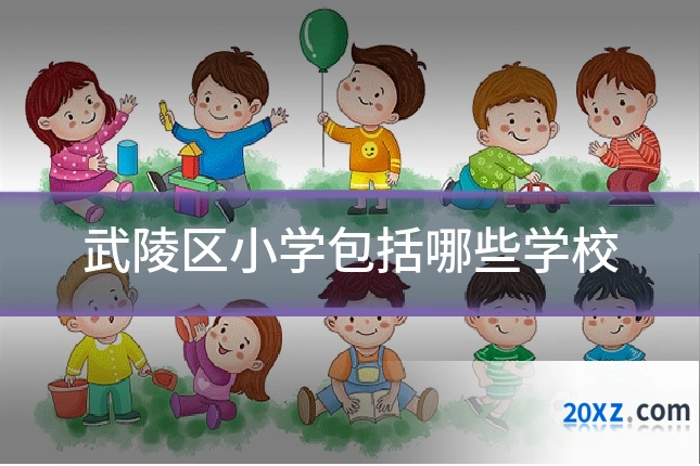 武陵区小学包括哪些学校
