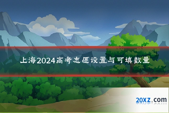 上海2024高考志愿设置与可填数量