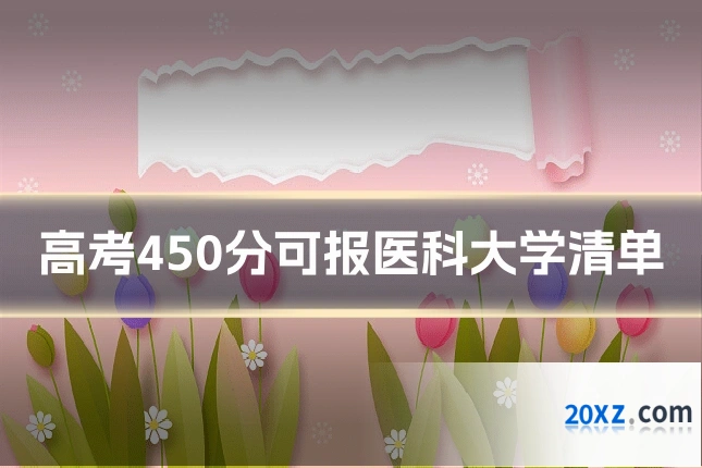 高考450分可报医科大学清单