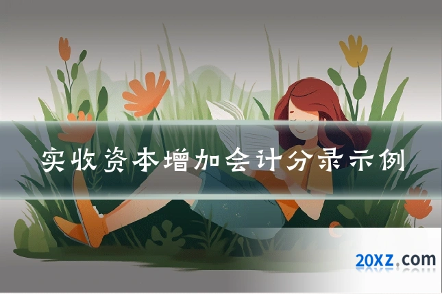 实收资本增加会计分录示例