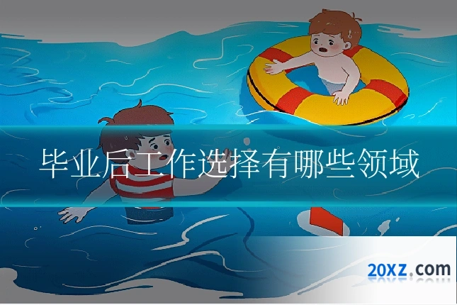 毕业后工作选择有哪些领域