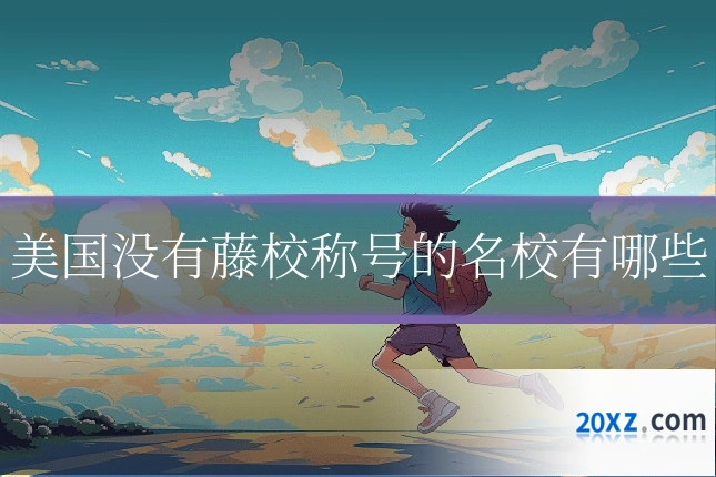 美国没有藤校称号的名校有哪些