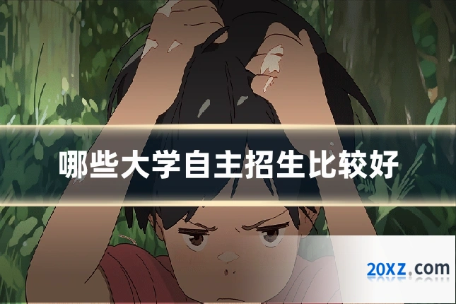 哪些大学自主招生比较好