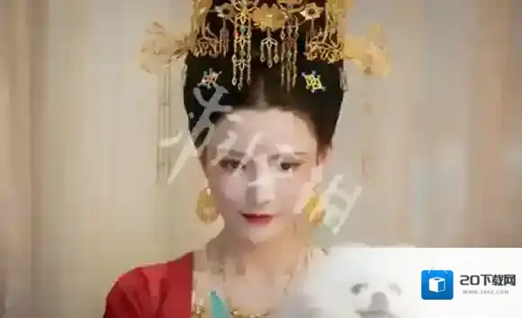 盛世天下中国历史上