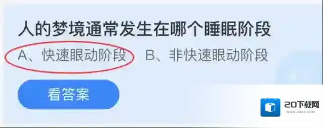 人的梦境通常发生在哪个睡眠阶段