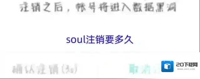 soul注销要多久