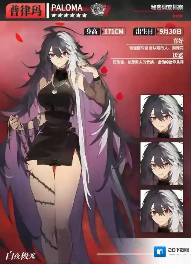 白夜极光白夜城