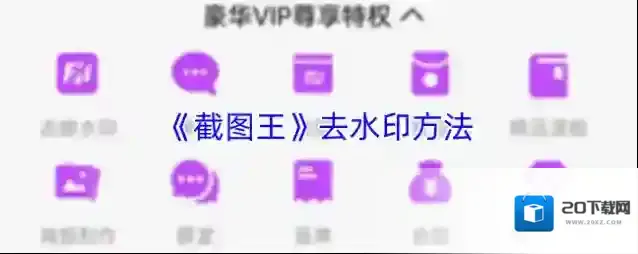 《截图王》去水印方法