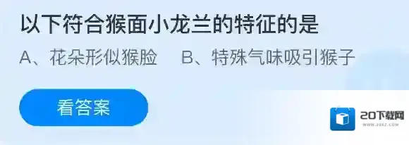 以下符合猴面小龙兰的特征的是