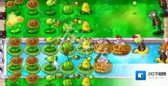 植物大战僵尸登录账号