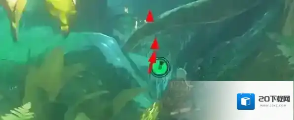 塞尔达传说王国之泪金苹果