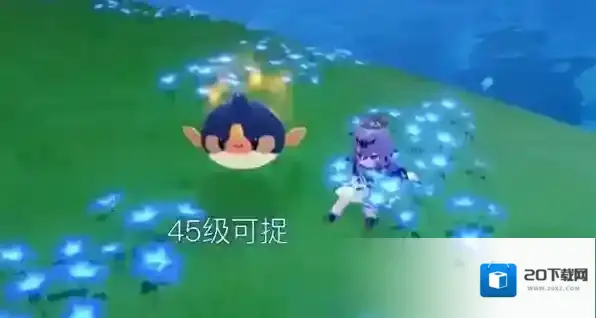 米姆米姆哈属性