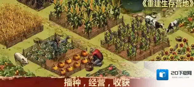 重建生存营地探索