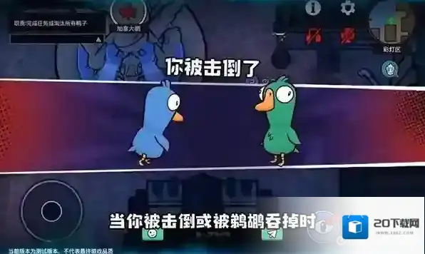 鹅鸭杀加拿大鹅