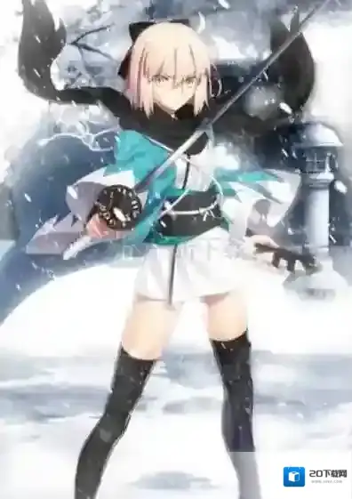 命运冠位指定宝具