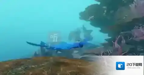 天谕手游潮汐封印位置在哪 潮汐封印任务攻略