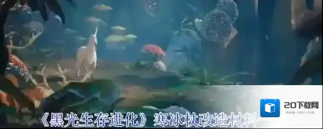 黑光生存进化改造