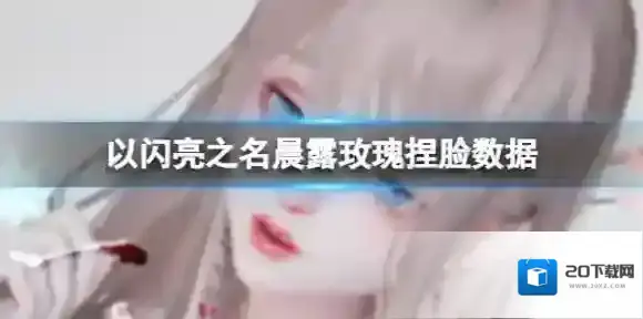 以闪亮之名晨露玫瑰捏脸数据 晨露玫瑰官方捏脸数据id