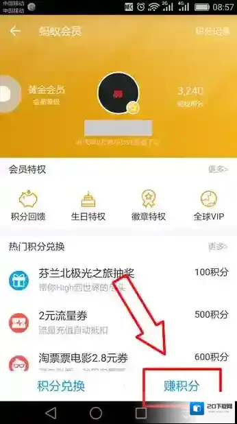 支付宝蚂蚁积分