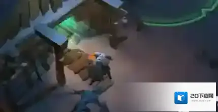 冰原守卫者的冰龙蛋怎么获得