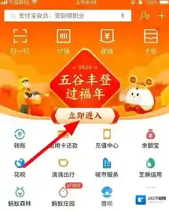 支付宝蚂蚁庄园