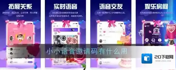 《小小语音》邀请码作用介绍