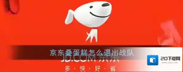 京东退队