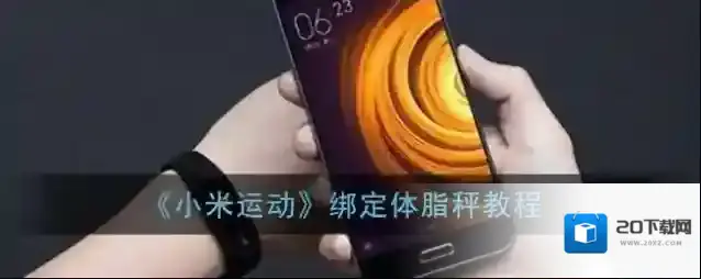 小米运动小米体脂秤