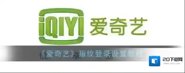 爱奇艺视频指纹