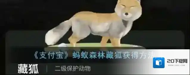 《支付宝》蚂蚁森林藏狐获得方法