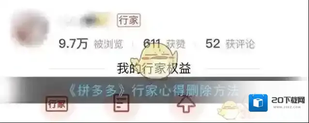 拼多多行家