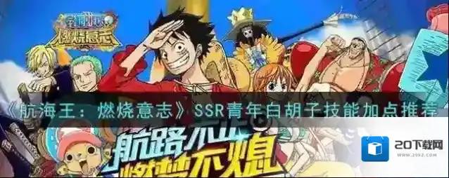 航海王燃烧意志青年白胡子怎么加点？航海王燃烧意志青年白胡子加点推荐