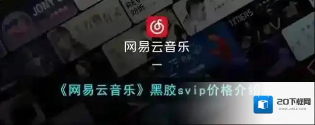 《网易云音乐》黑胶svip价格介绍