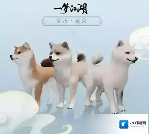 一梦江湖新宠物柴犬怎么样 柴犬图鉴详解