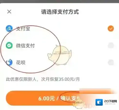 得到支付