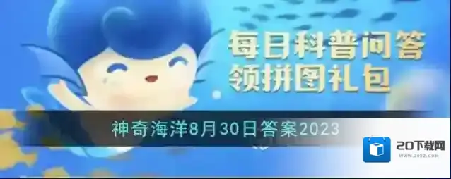 海马的骨骼结构与大多数鱼类有何不同