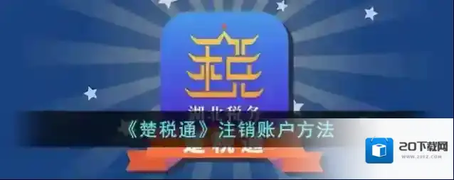 楚税通点击