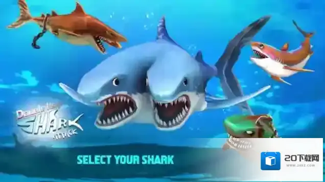 双头鲨攻击鲨鱼