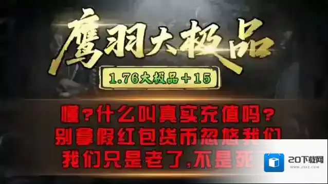 鹰羽76大极品金币