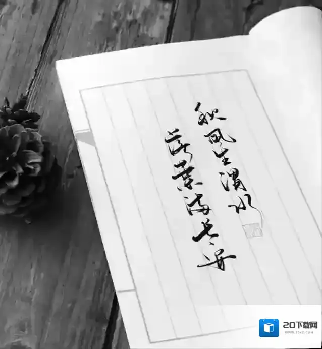 支付宝落叶满长安